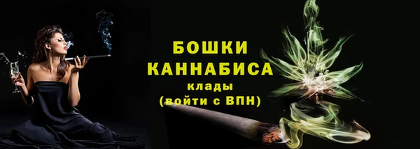 спайс Касимов