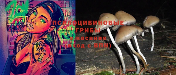 спайс Касимов