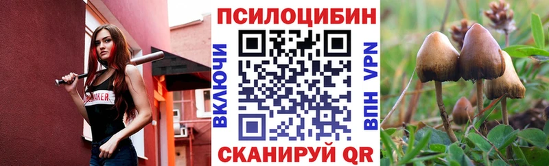Псилоцибиновые грибы Psilocybine cubensis Костомукша