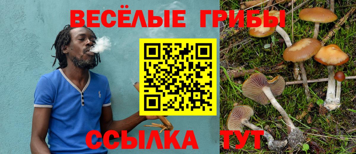 Псилоцибиновые грибы мицелий Костомукша