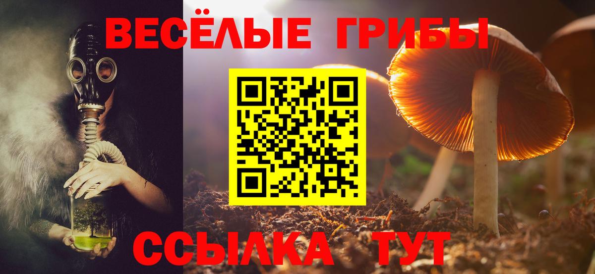 Галлюциногенные грибы MAGIC MUSHROOMS  Вход с VPN  Костомукша  Галлюциногенные грибы GOLDEN TEACHER 